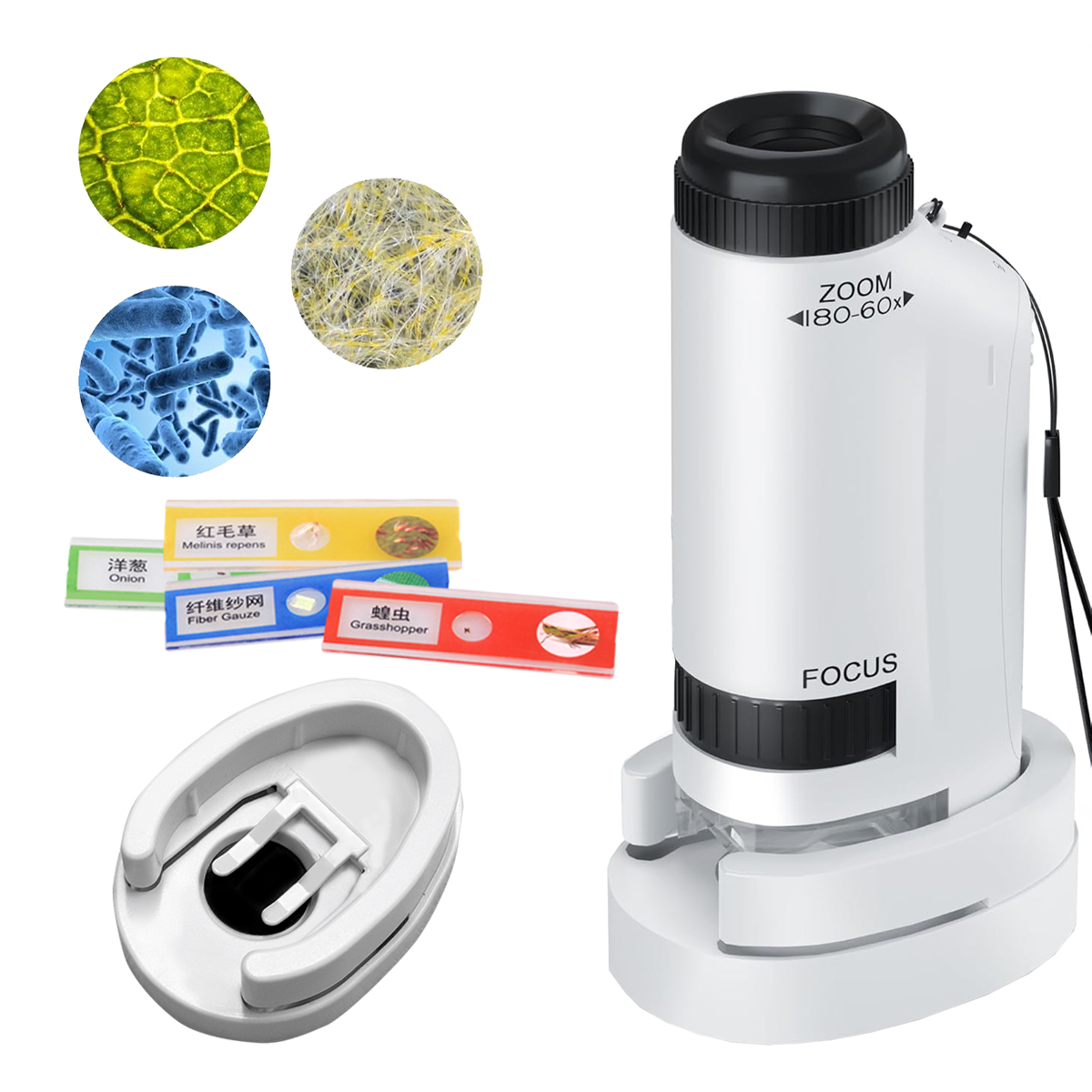 Kits de jouets portables pour  - Science Max avis et prix